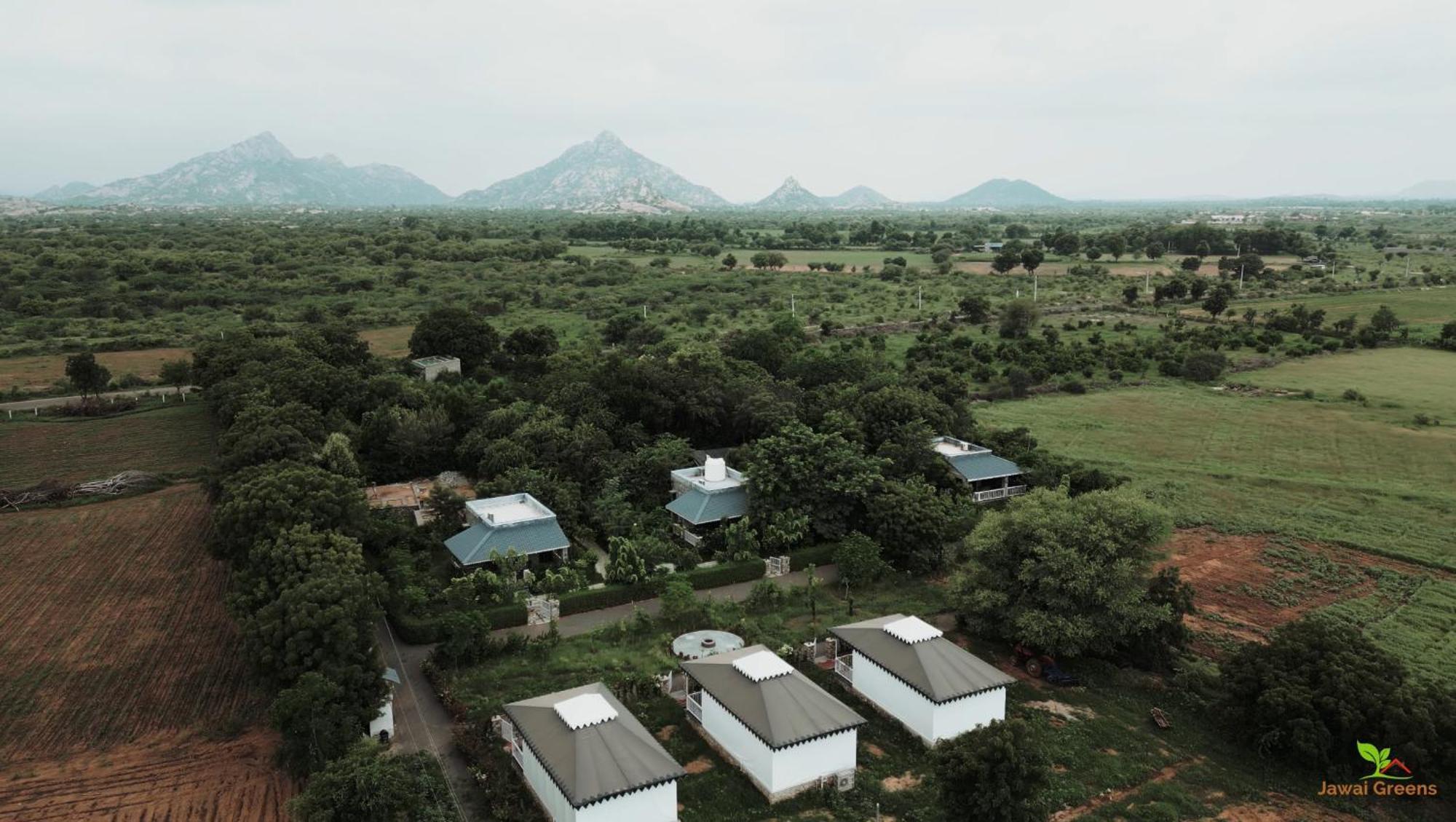 Jawai Greens Jawai Bandh Ngoại thất bức ảnh